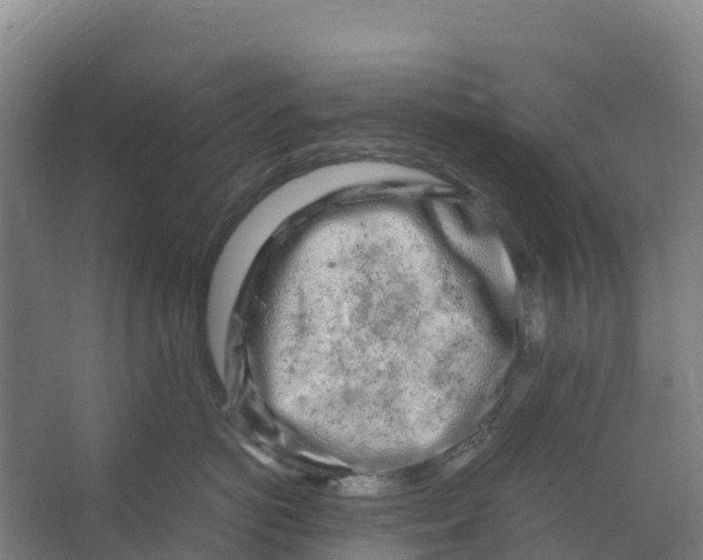 X0000067000766200604142259