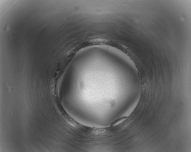 X0000067000767200604142259