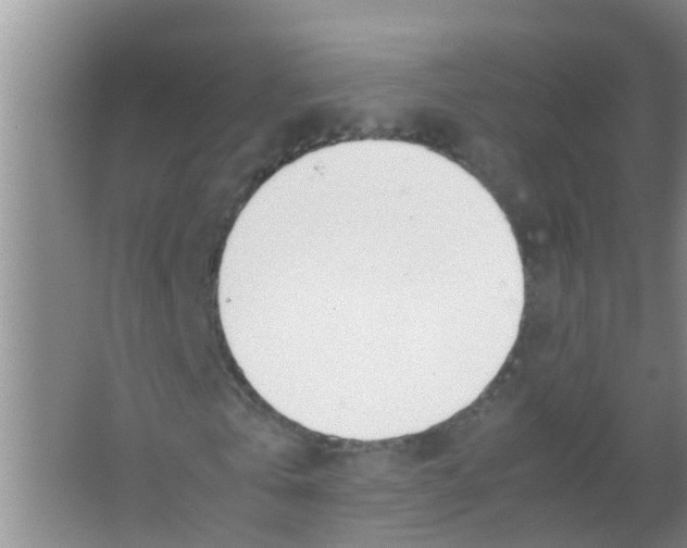 X0000067000769200604142258