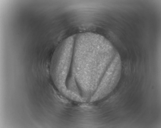 X0000067000770200604142258