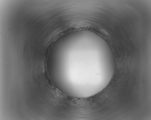 X0000067000774200604142258