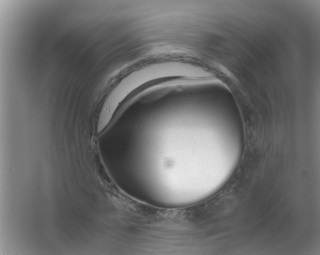 X0000067000775200604142258