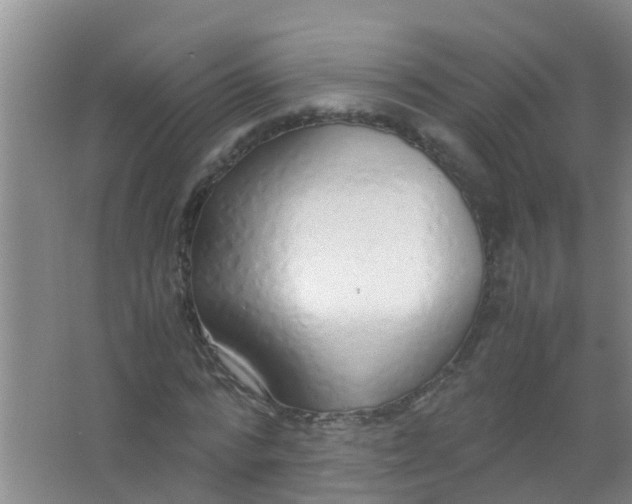 X0000067000776200604142258