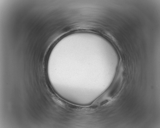 X0000067000779200604142258