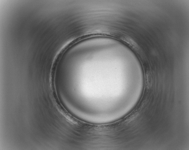 X0000067000780200604142258