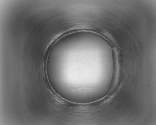 X0000067000781200604142258