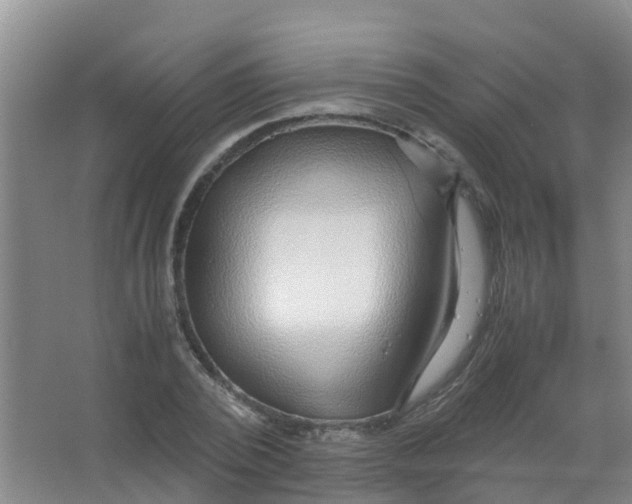 X0000067000784200604142258