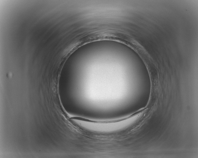 X0000067000785200604142258