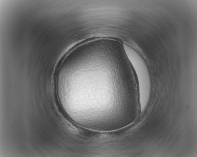 X0000067000787200604142258