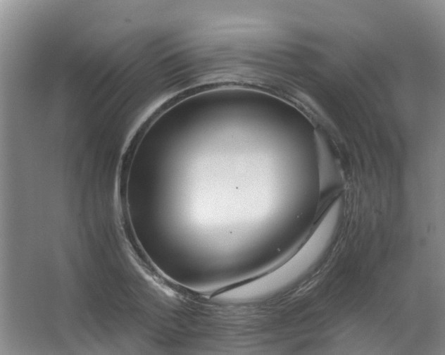 X0000067000788200604142258