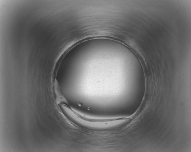 X0000067000789200604142258