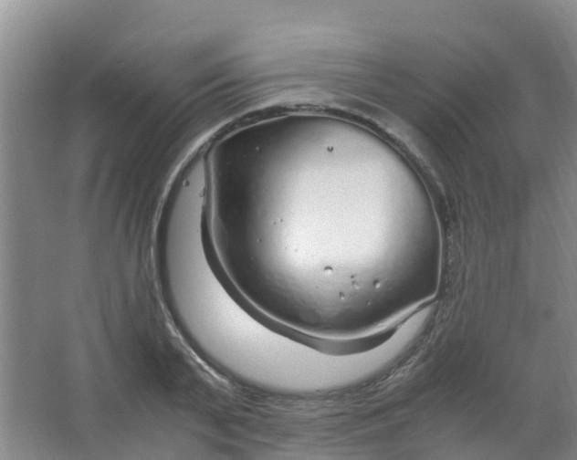 X0000067000791200604142258