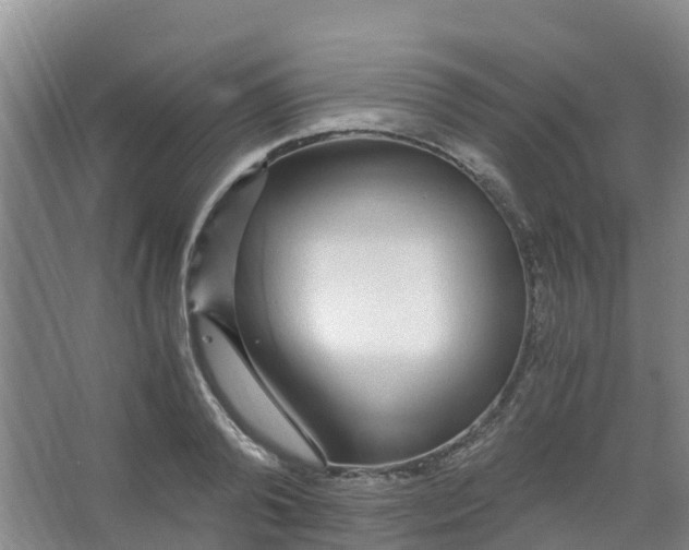 X0000067000792200604142257