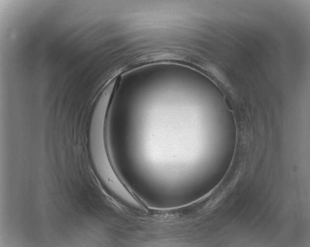 X0000067000793200604142257