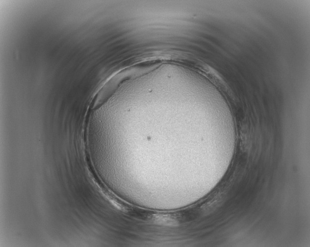 X0000067000794200604142257