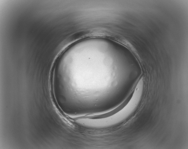 X0000067000795200604142257