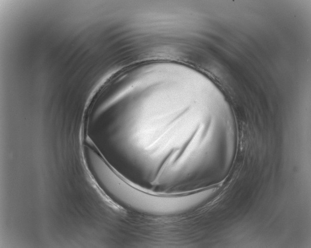 X0000067000796200604142257