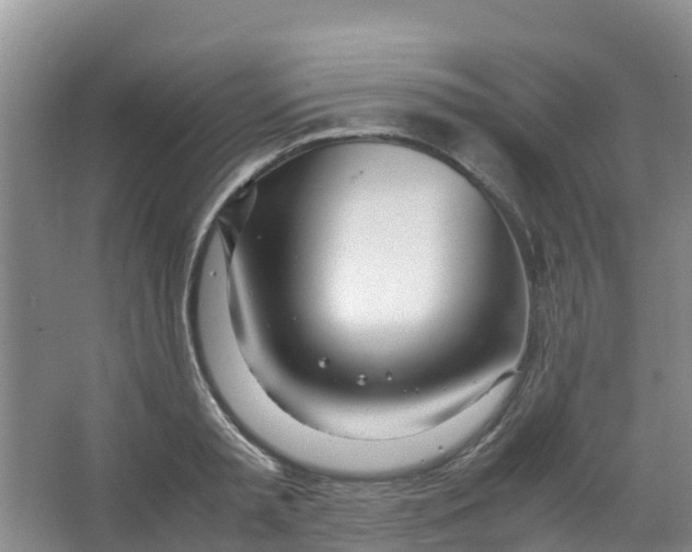 X0000067000797200604142257