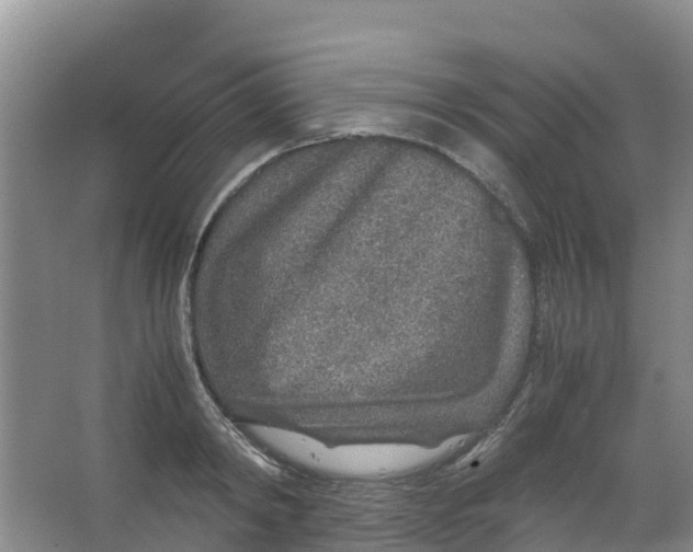 X0000067000798200604142257