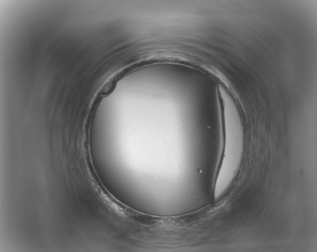 X0000067000799200604142257