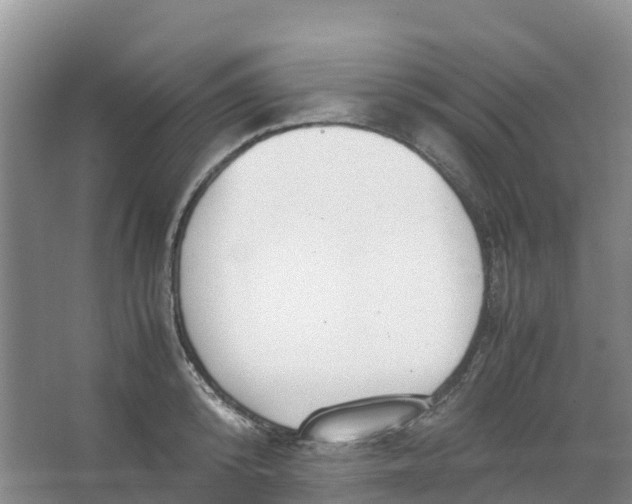 X0000067000800200604142257