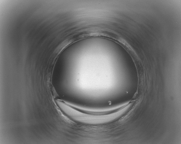 X0000067000801200604142257