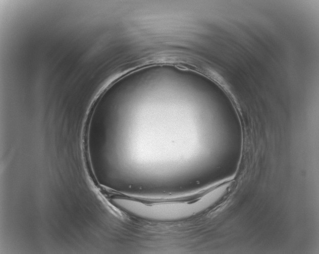 X0000067000803200604142257