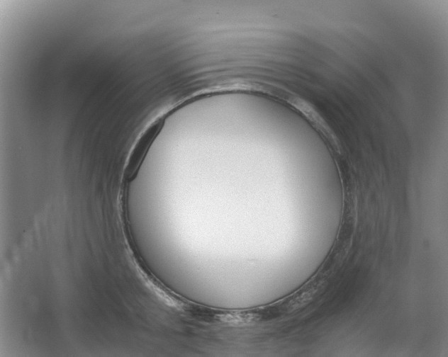 X0000067000805200604142257