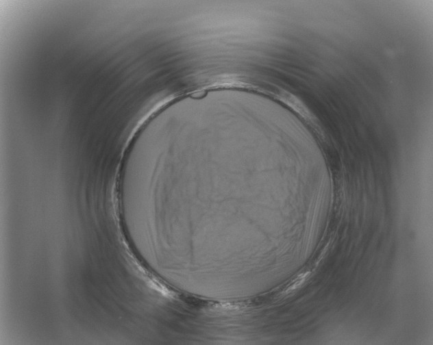 X0000067000806200604142257