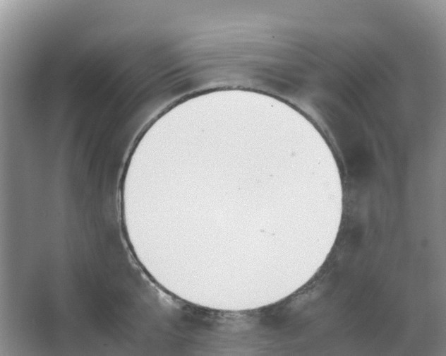 X0000067000807200604142257