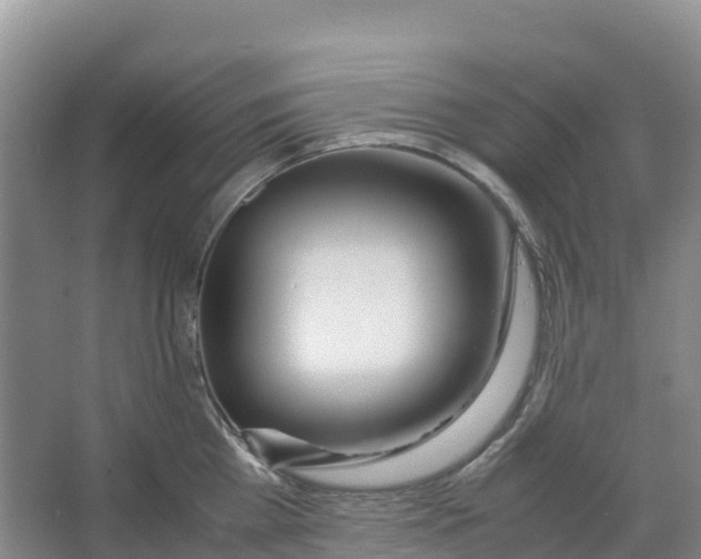 X0000067000809200604142257