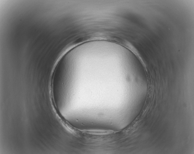 X0000067000811200604142257