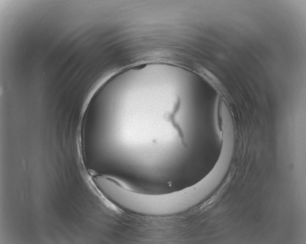 X0000067000812200604142257