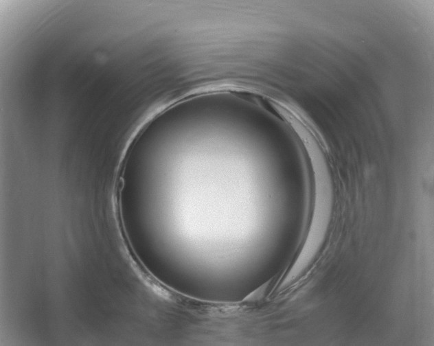 X0000067000813200604142257