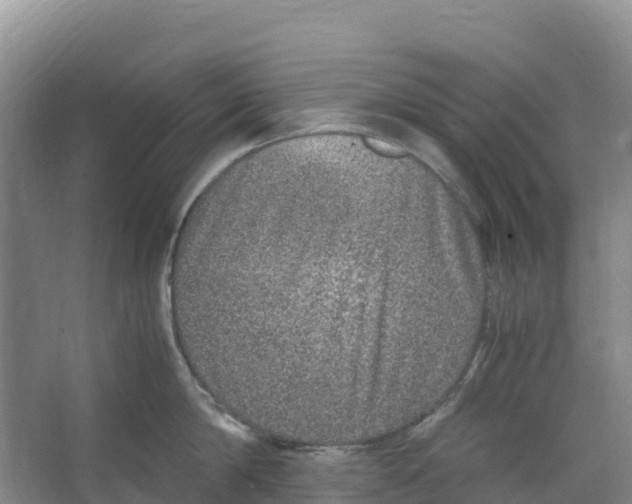 X0000067000814200604142257