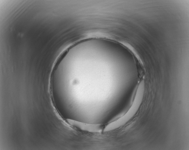 X0000067000815200604142257