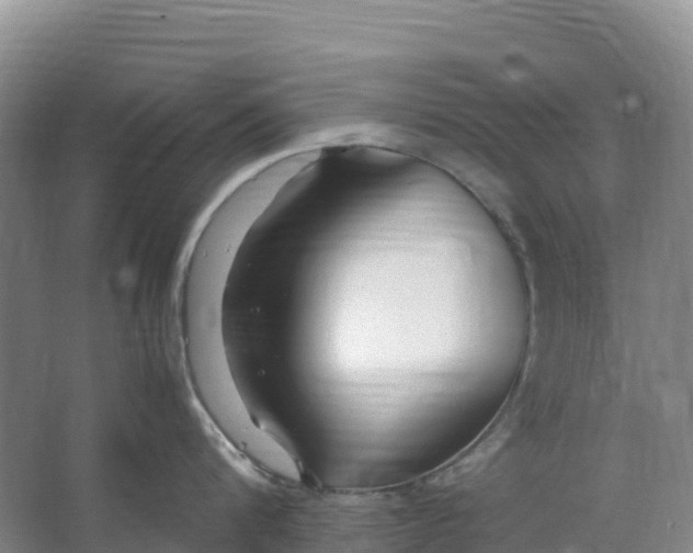 X0000067000816200604142257