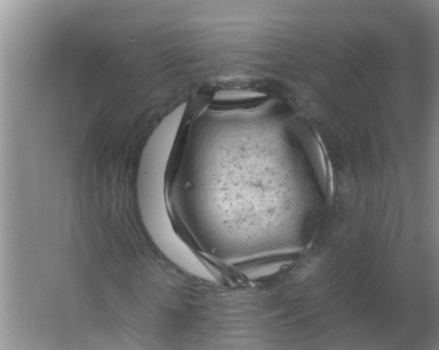 X0000067000818200604142256