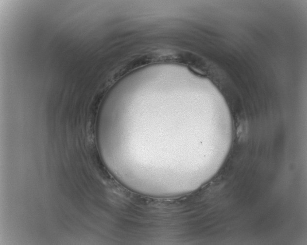 X0000067000819200604142256