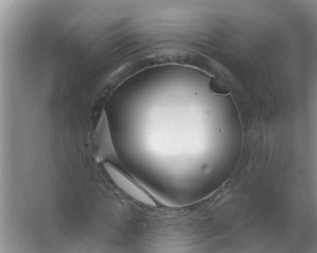 X0000067000822200604142256