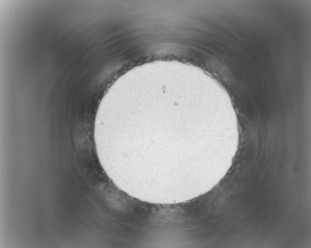 X0000067000824200604142256