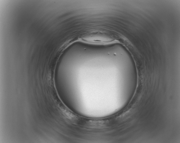 X0000067000825200604142256