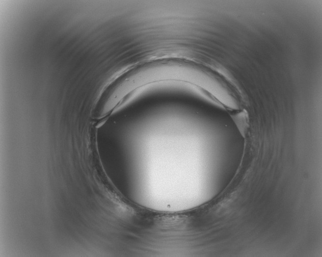 X0000067000826200604142256