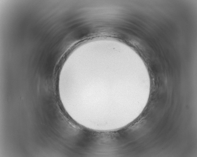 X0000067000828200604142256