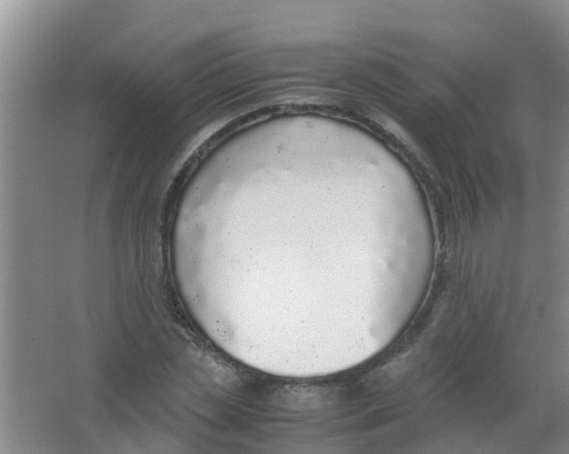 X0000067000829200604142256