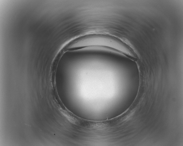 X0000067000830200604142257