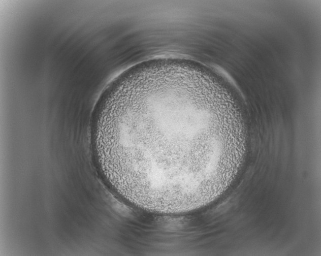 X0000067000831200604142257