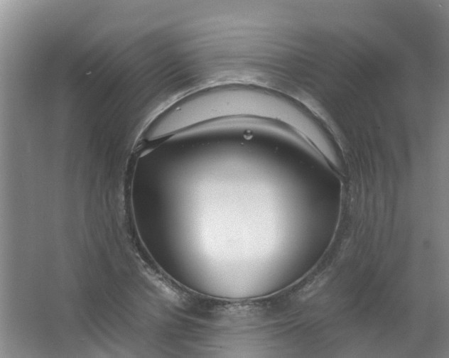 X0000067000834200604142257