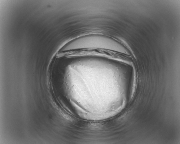 X0000067000835200604142257