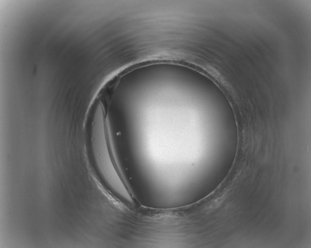 X0000067000838200604142257